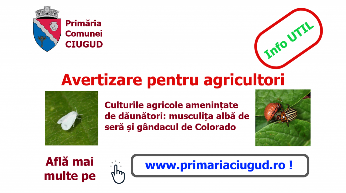 macheta_avertizare_fitosanitara