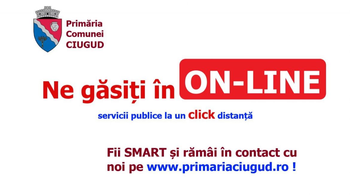 macheta_primarie_on_line_imagine